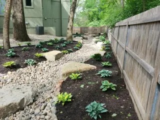 Dry creek bed of river rock and limestone boulders running along a wood fence between hosta beds and mature trees